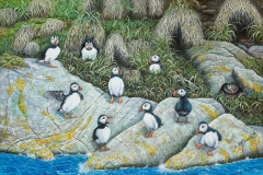 Ten-Little-Puffins-1280